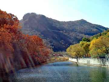 新澳天天开奖资料大全旅游团，宁波管接头